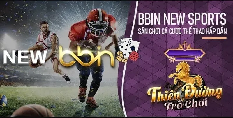 Cá cược thể thao tại sảnh BBin New Thể Thao 8Day Cá cược thể thao tại sảnh BBin New Thể Thao 8Day